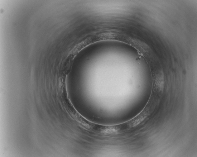 X0000073730759200608101929