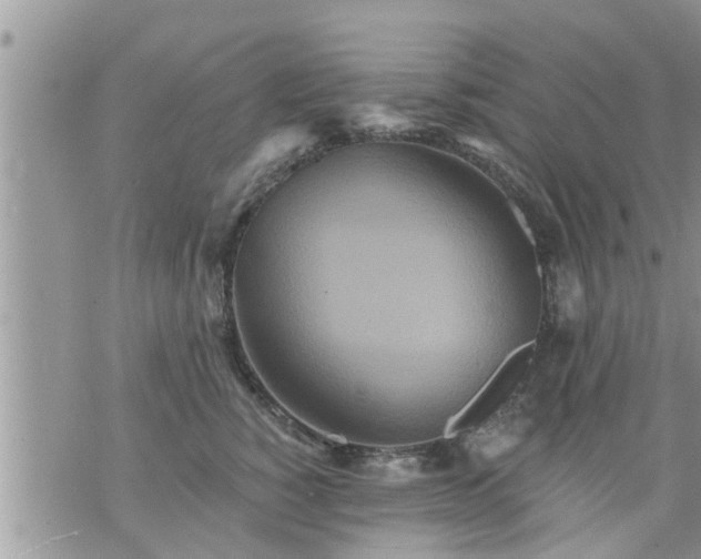 X0000073730760200608101929