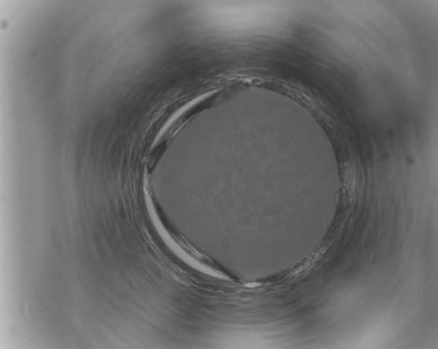 X0000073730761200608101929