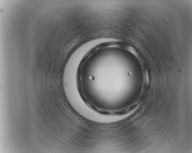 X0000073730762200608101929