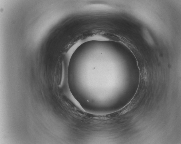 X0000073730763200608101930