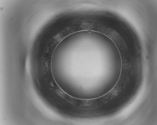 X0000073730765200608101930