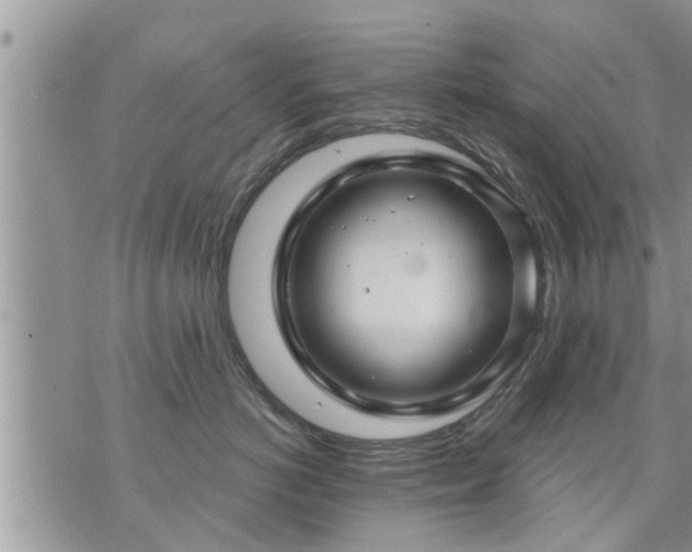 X0000073730766200608101930