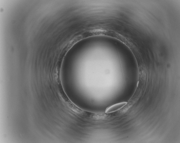 X0000073730767200608101930