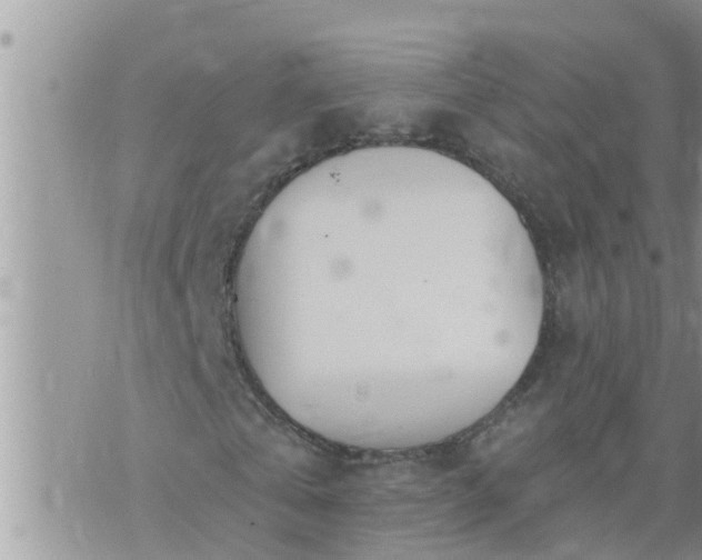 X0000073730769200608101929