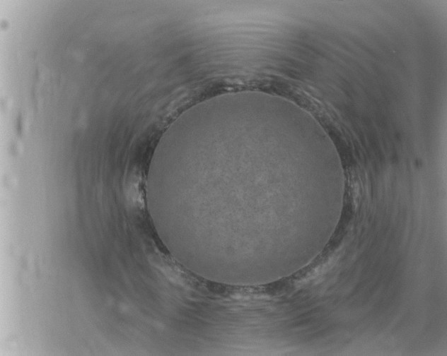 X0000073730770200608101929