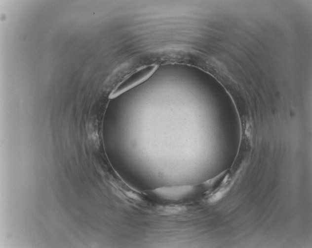 X0000073730771200608101929