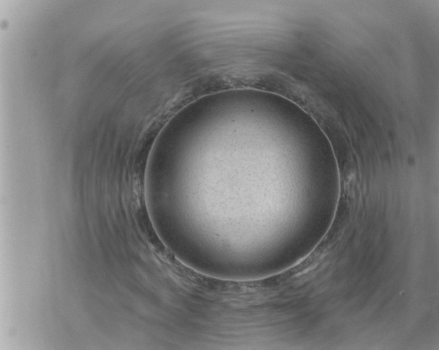 X0000073730772200608101929