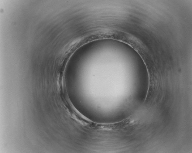 X0000073730773200608101929