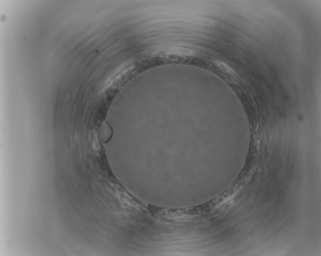 X0000073730774200608101929