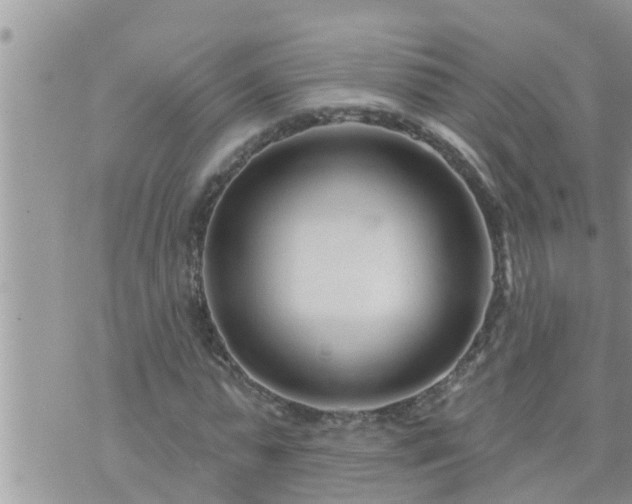 X0000073730775200608101929