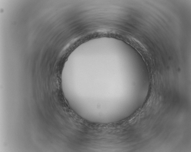 X0000073730776200608101929