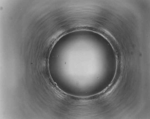 X0000073730777200608101929