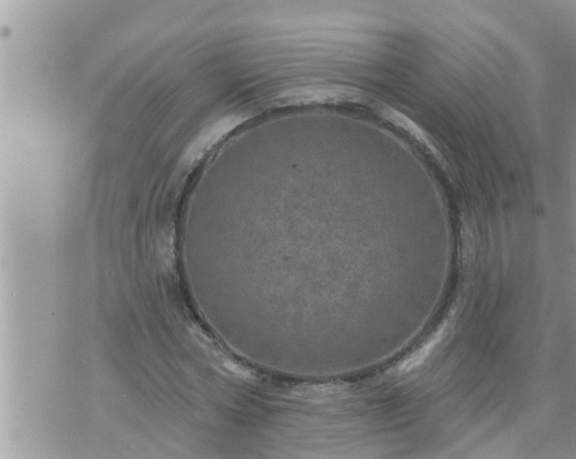 X0000073730778200608101929