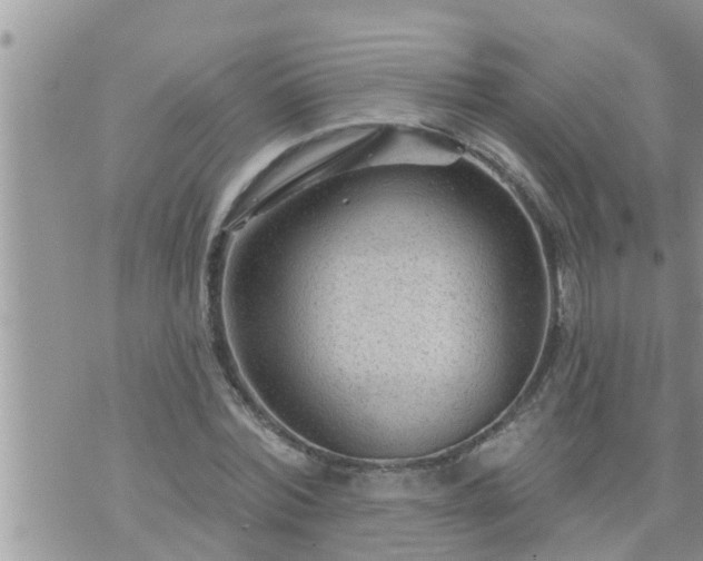 X0000073730780200608101929