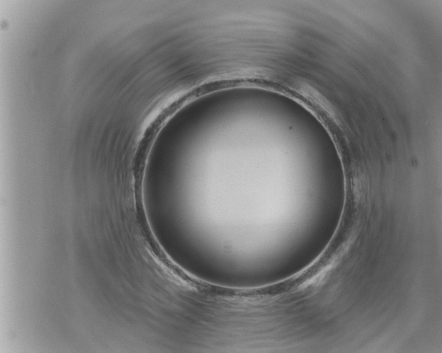 X0000073730781200608101929