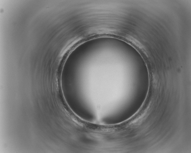 X0000073730782200608101929