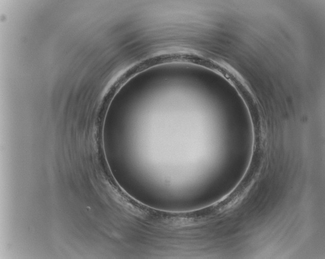 X0000073730783200608101929