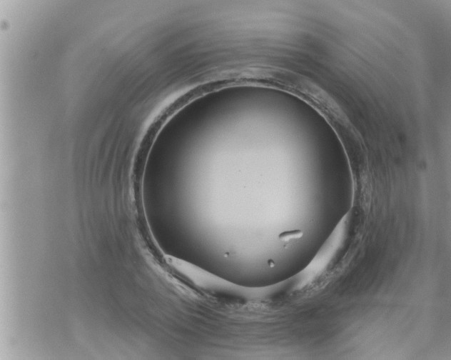 X0000073730784200608101929