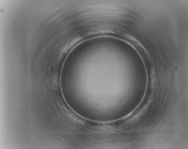 X0000073730785200608101929