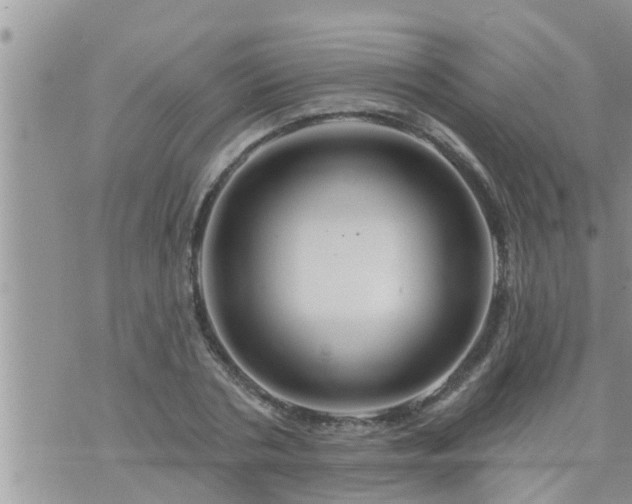 X0000073730786200608101929