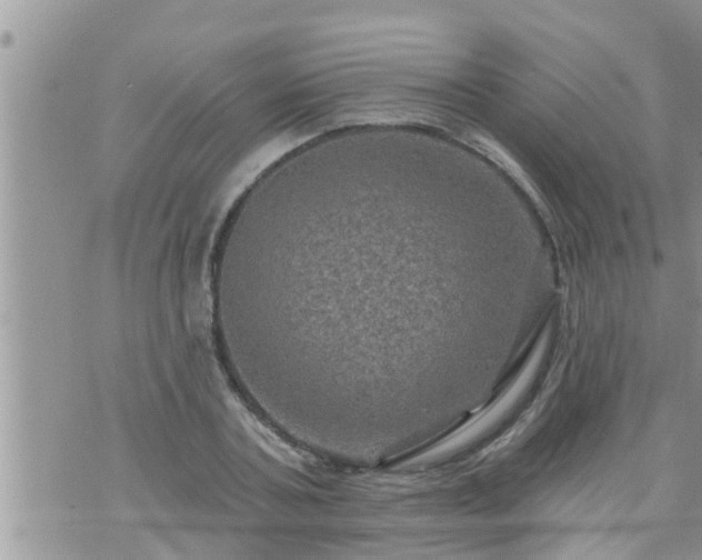 X0000073730787200608101928