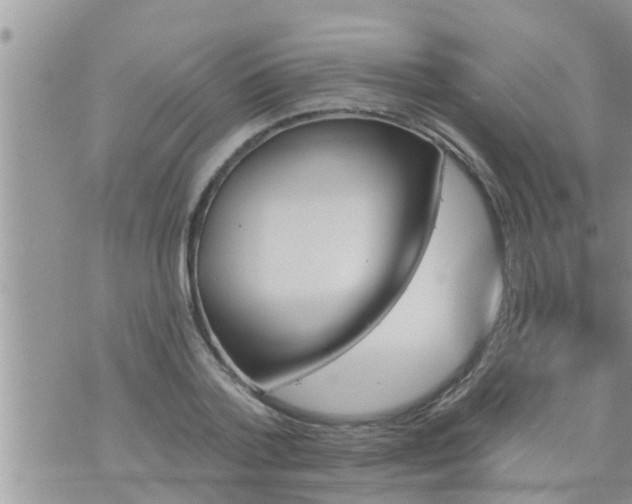 X0000073730788200608101928