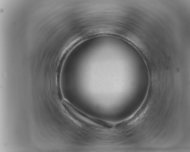 X0000073730790200608101928