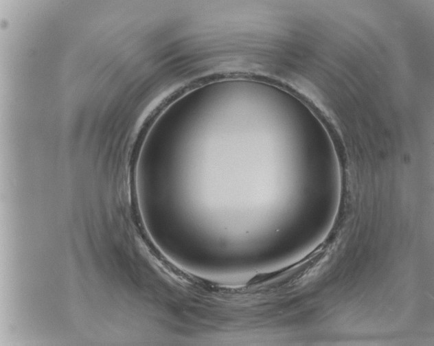 X0000073730791200608101928