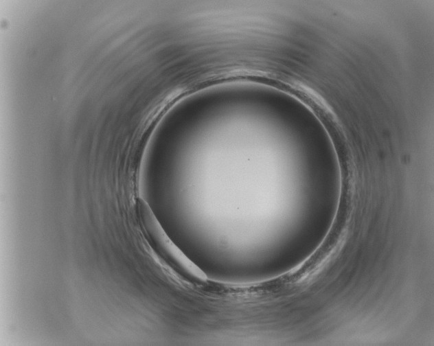 X0000073730793200608101928