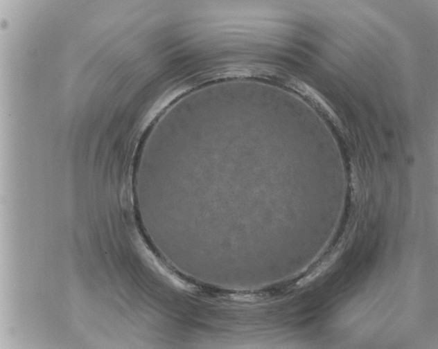 X0000073730794200608101928