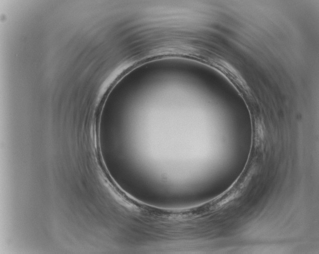 X0000073730796200608101928