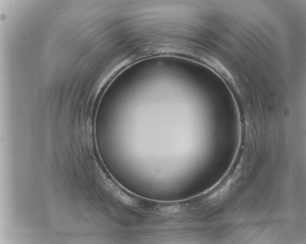 X0000073730798200608101928