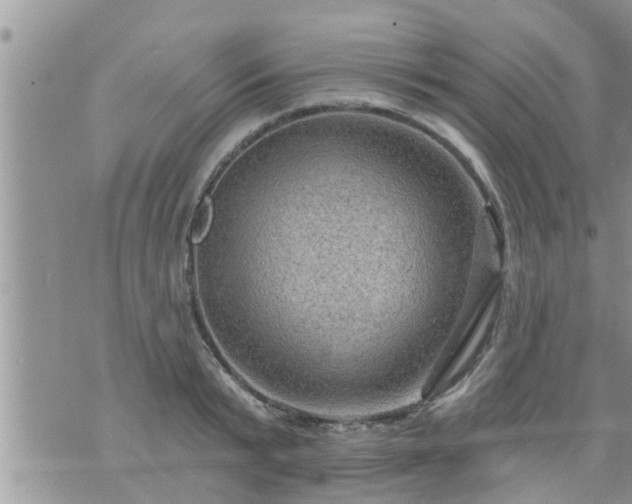 X0000073730799200608101928