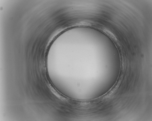 X0000073730800200608101928