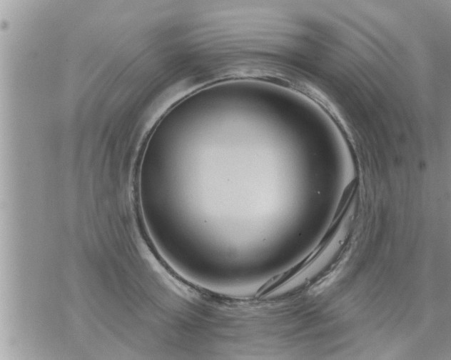 X0000073730803200608101928