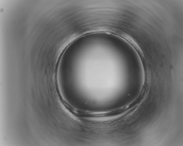 X0000073730805200608101928