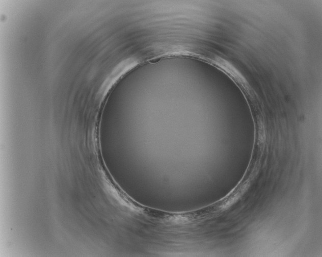 X0000073730806200608101928