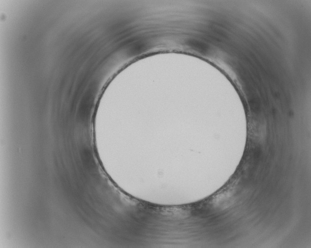 X0000073730807200608101928