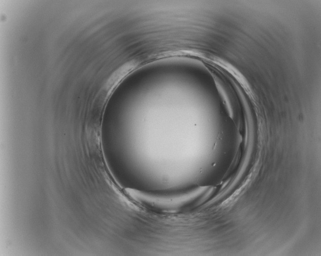 X0000073730809200608101928