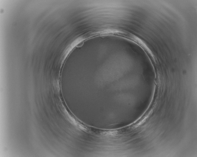 X0000073730810200608101928