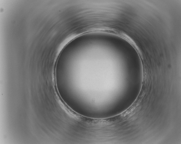 X0000073730811200608101928