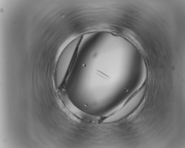 X0000073730812200608101928