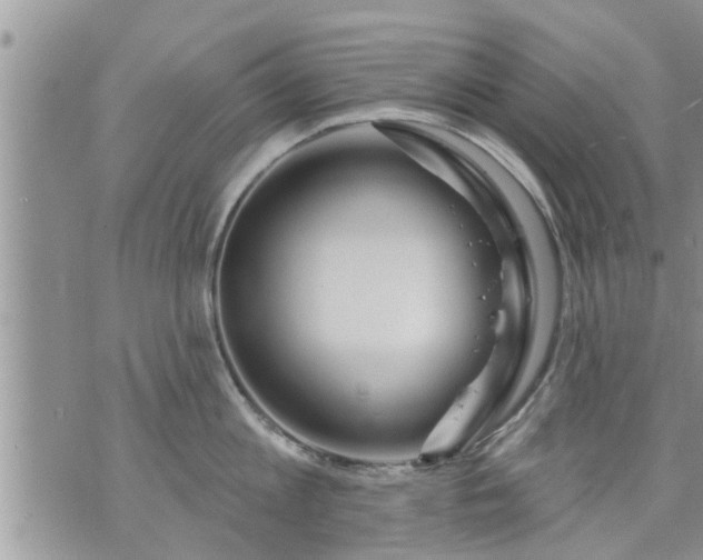 X0000073730813200608101928