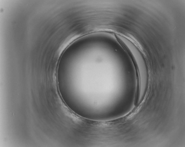 X0000073730814200608101928