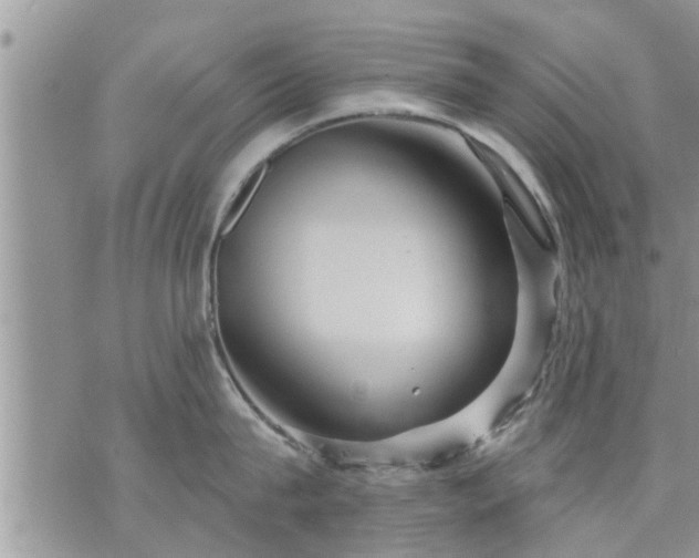 X0000073730815200608101928