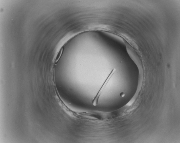 X0000073730816200608101928