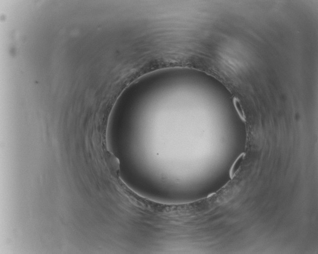 X0000073730817200608101927