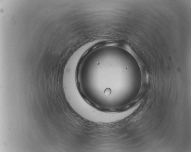 X0000073730818200608101927