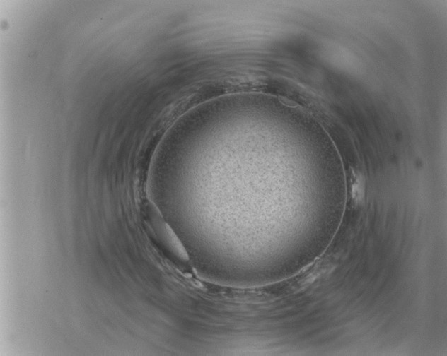 X0000073730819200608101927